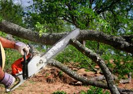 Best Lawn Irrigation Installation and Maintenance  in Alexandria, VA