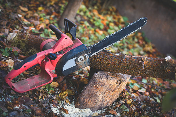 Best Weed Control  in Alexandria, VA